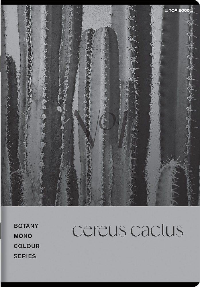 Zeszyt A5/60k kratka Botany 70g TOP2000
